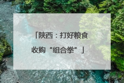 陕西：打好粮食收购“组合拳”