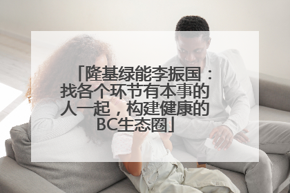 隆基绿能李振国：找各个环节有本事的人一起，构建健康的BC生态圈