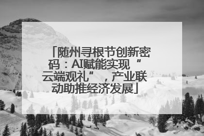 随州寻根节创新密码：AI赋能实现“云端观礼”，产业联动助推经济发展