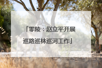零陵：赵立平开展巡路巡林巡河工作
