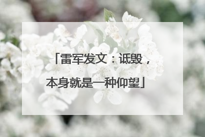 雷军发文：诋毁，本身就是一种仰望