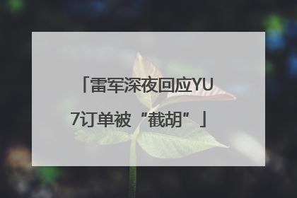 雷军深夜回应YU7订单被“截胡”