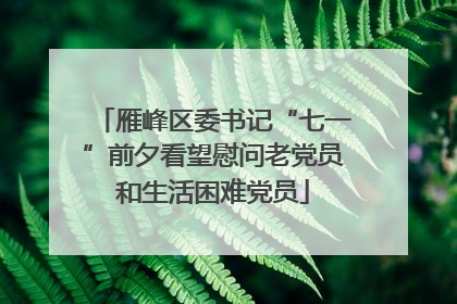 雁峰区委书记“七一”前夕看望慰问老党员和生活困难党员