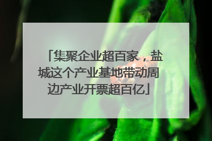 集聚企业超百家，盐城这个产业基地带动周边产业开票超百亿
