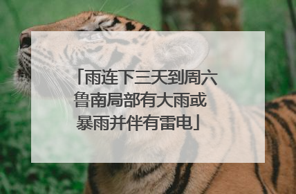 雨连下三天到周六 鲁南局部有大雨或暴雨并伴有雷电