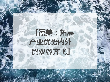 霞美：拓展产业优势内外贸双翼齐飞