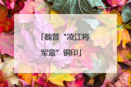 魏晋“凌江将军章”铜印