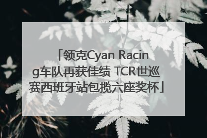 领克Cyan Racing车队再获佳绩 TCR世巡赛西班牙站包揽六座奖杯