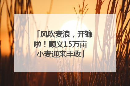 风吹麦浪，开镰啦！顺义15万亩小麦迎来丰收