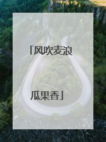 风吹麦浪 瓜果香