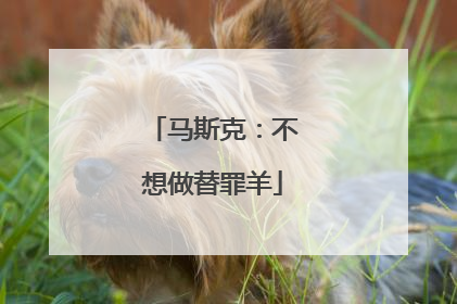 马斯克：不想做替罪羊