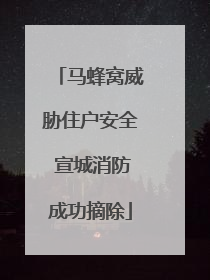马蜂窝威胁住户安全 宣城消防成功摘除