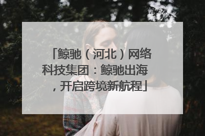 鲸驰（河北）网络科技集团：鲸驰出海，开启跨境新航程
