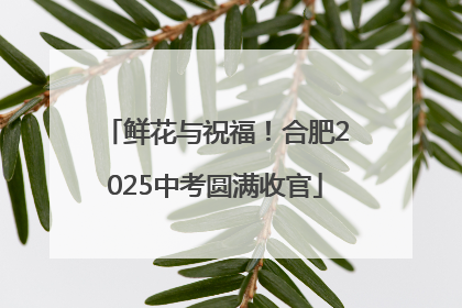 鲜花与祝福！合肥2025中考圆满收官