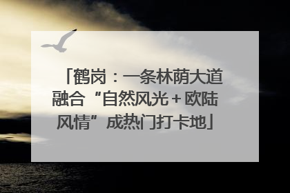 鹤岗：一条林荫大道融合“自然风光＋欧陆风情”成热门打卡地
