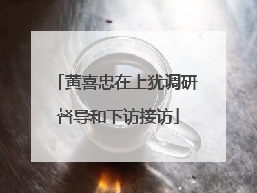 黄喜忠在上犹调研督导和下访接访