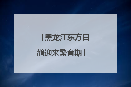 黑龙江东方白鹳迎来繁育期