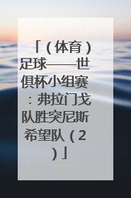 （体育）足球——世俱杯小组赛：弗拉门戈队胜突尼斯希望队（2）