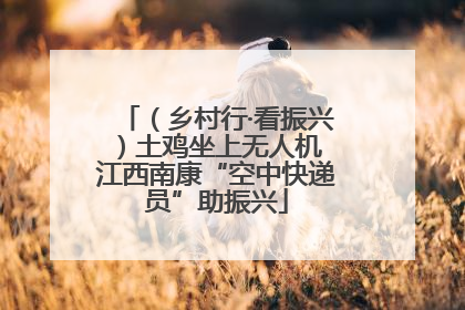 （乡村行·看振兴）土鸡坐上无人机 江西南康“空中快递员”助振兴