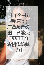 （乡村行·看振兴）广西龙脊梯田：背篓变迁见证千年农耕传统魅力