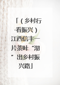 （乡村行·看振兴）江西信丰一片茶叶“沏”出乡村振兴路