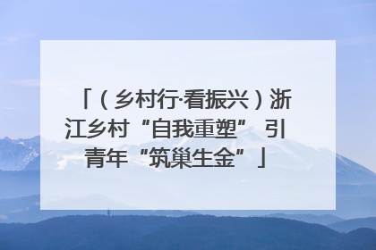 （乡村行·看振兴）浙江乡村“自我重塑” 引青年“筑巢生金”