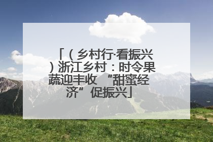 （乡村行·看振兴）浙江乡村：时令果蔬迎丰收 “甜蜜经济”促振兴