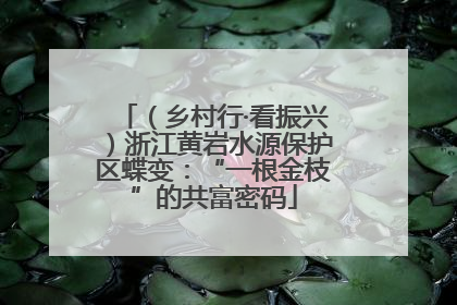 （乡村行·看振兴）浙江黄岩水源保护区蝶变：“一根金枝”的共富密码