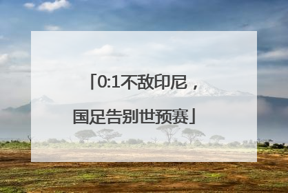 0:1不敌印尼，国足告别世预赛