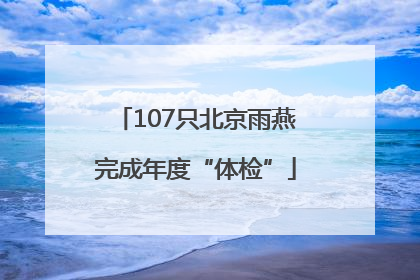 107只北京雨燕完成年度“体检”