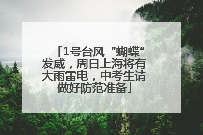 1号台风“蝴蝶”发威，周日上海将有大雨雷电，中考生请做好防范准备
