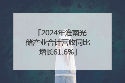 2024年淮南光储产业合计营收同比增长61.6%
