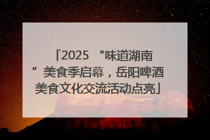 2025 “味道湖南”美食季启幕，岳阳啤酒美食文化交流活动点亮