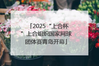 2025“上合杯”上合组织国家网球团体赛青岛开幕
