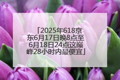 2025年618京东6月17日晚8点至6月18日24点这巅峰28小时内最便宜