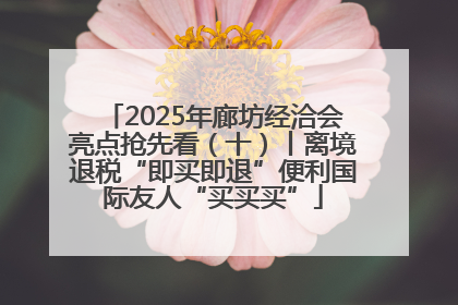 2025年廊坊经洽会亮点抢先看（十）丨离境退税“即买即退”便利国际友人“买买买”