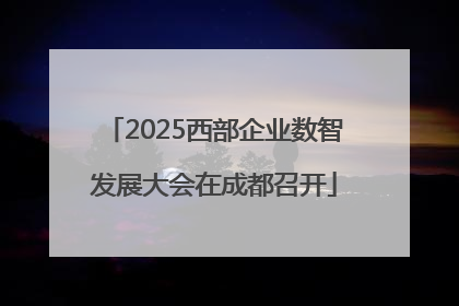 2025西部企业数智发展大会在成都召开