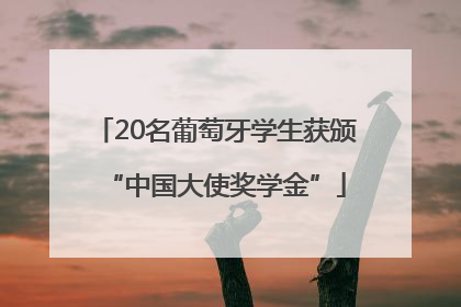 20名葡萄牙学生获颁“中国大使奖学金”