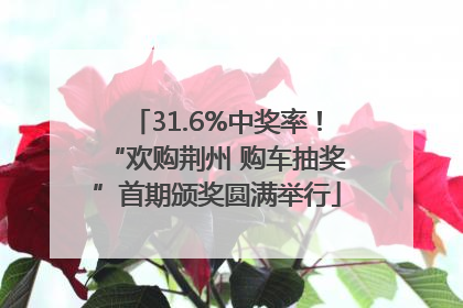 31.6%中奖率！“欢购荆州 购车抽奖”首期颁奖圆满举行