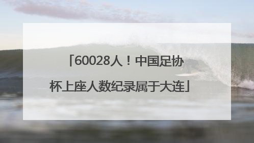 60028人！中国足协杯上座人数纪录属于大连