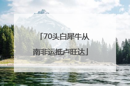 70头白犀牛从南非运抵卢旺达