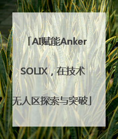 AI赋能Anker SOLIX，在技术无人区探索与突破